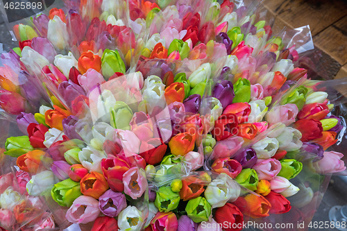 Image of Tulips