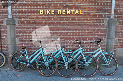 Image of Bike Rental
