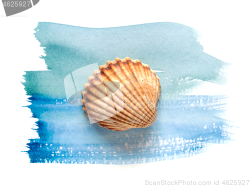 Image of sea shell on watercolor paint