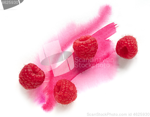 Image of fresh raw raspberries on watercolor paint