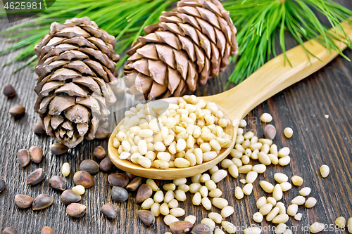 Image of Cedar nuts peeled in spoon on wooden board