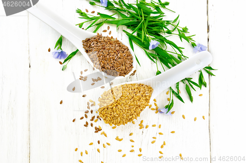 Image of Flaxen white and brown in two spoons on table top