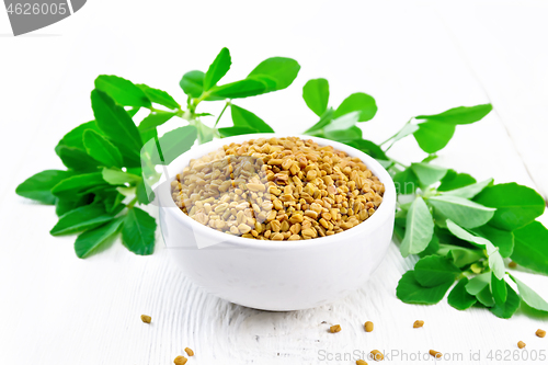 Image of Fenugreek with green leaves in bowl on white board