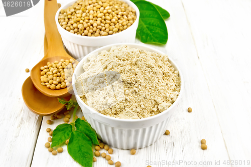 Image of Flour soy with soybeans on light board