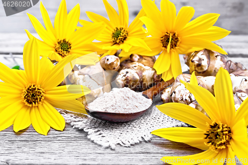 Image of Flour of Jerusalem artichoke in spoon on board