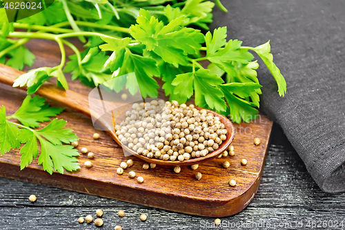 Image of Coriander seeds in wooden spoon on black board