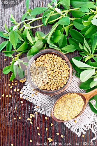 Image of Fenugreek in spoon and bowl with green leaves on board top