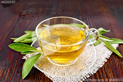 Image of Tea herbal with sage in glass cup on dark wooden board