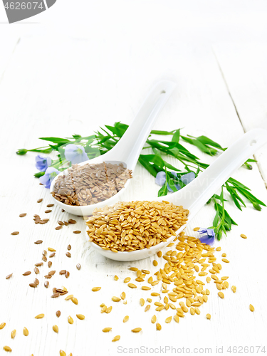 Image of Flaxen white and brown in two spoons on light table