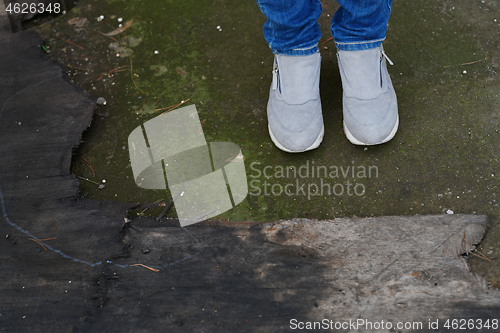 Image of Woman standing on the moss at the old wood trunk