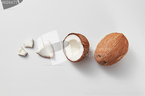 Image of Set from fresh ripe natural organic coconut fruits on a light grey background.