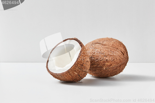 Image of Fresh ripe organic coconut fruits on a gray duotone background.