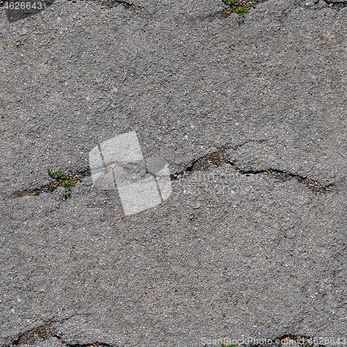 Image of Seamless texture - old cracked asphalt surface