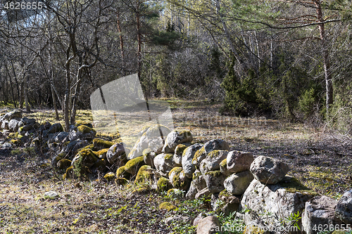 Image of Beautiful mossy old dry stone wall