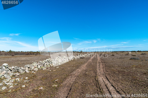 Image of Tracks by an old dry stone wall in a plain grassland