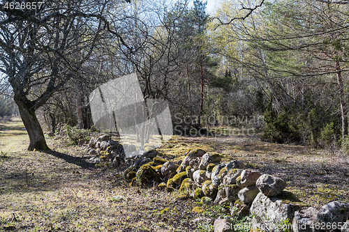 Image of Mossy old traditional dry stone wall