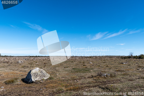 Image of Great plain grassland by blue skies