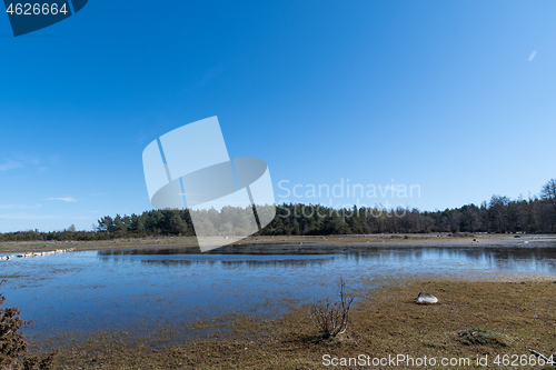 Image of Wetland by spring season with blue skies