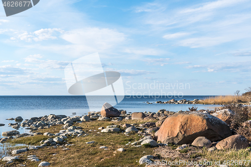 Image of Stony coastline in spring season