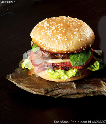 Image of Fresh Tasty Hamburger