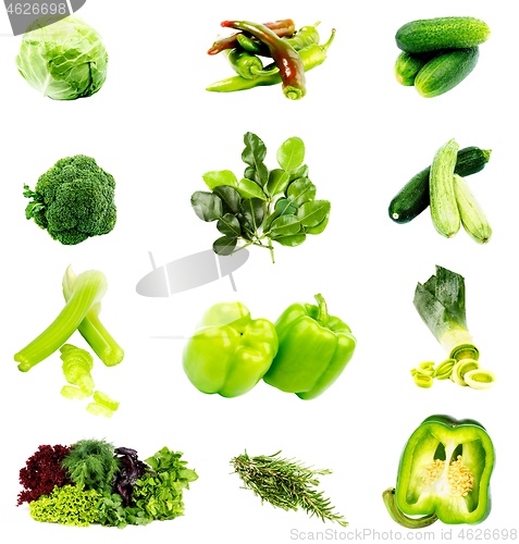 Image of Collection of Green Vegetables and Herbs