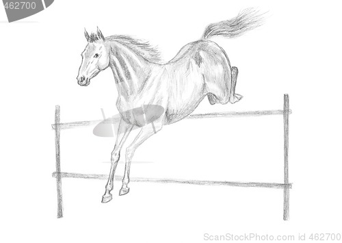 Image of Jumping horse drawing