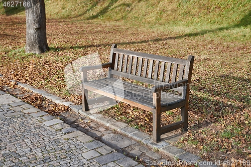 Image of Autumn leaves on bench