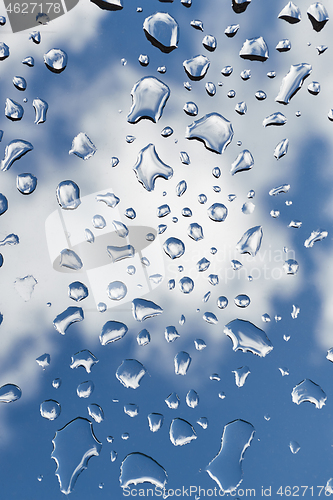 Image of Wet glass roof after rain