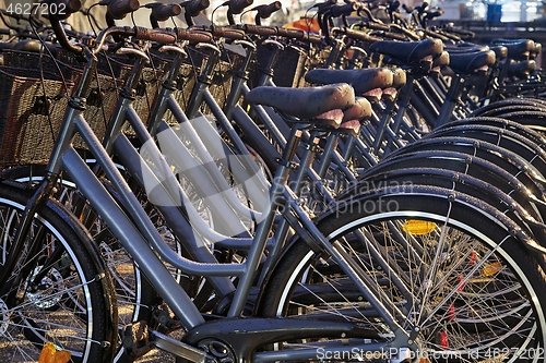 Image of Bicycles in a row