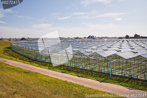 Image of Greenhouse agricultural production