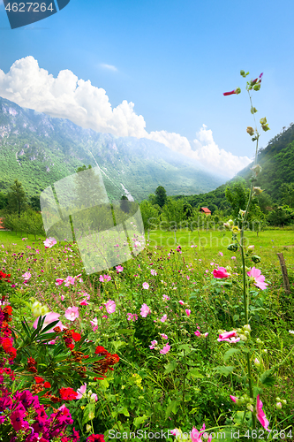 Image of Durmitor National park