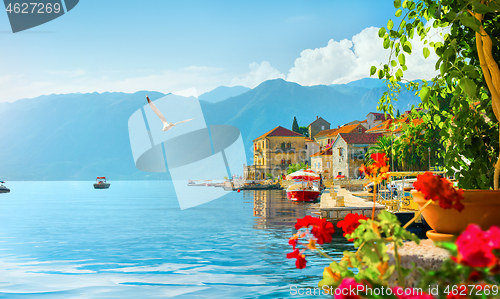 Image of Spring in Perast