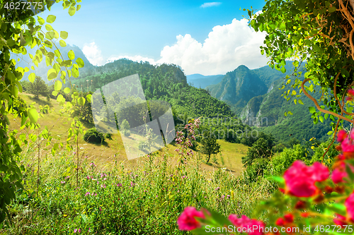 Image of Summer day in National park