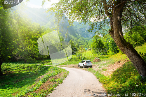 Image of Road in Dobrilovina