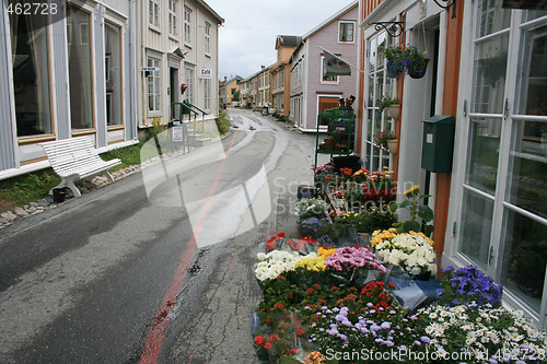 Image of Flowers for sale