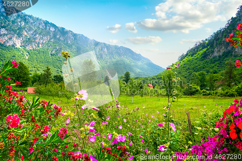 Image of National park Montenegro