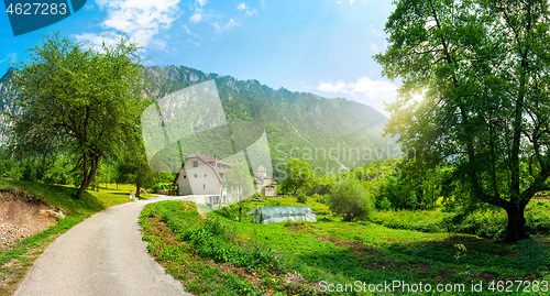 Image of Road near monastery Dobrilovina