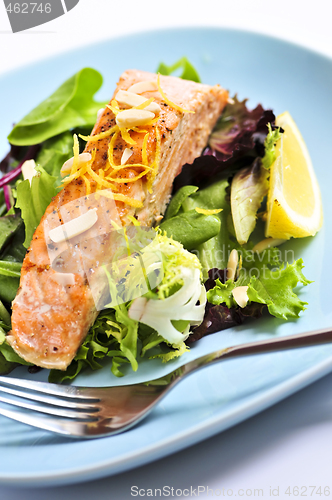 Image of Salad with grilled salmon