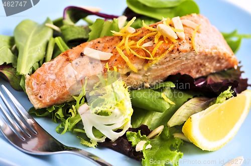 Image of Salad with grilled salmon