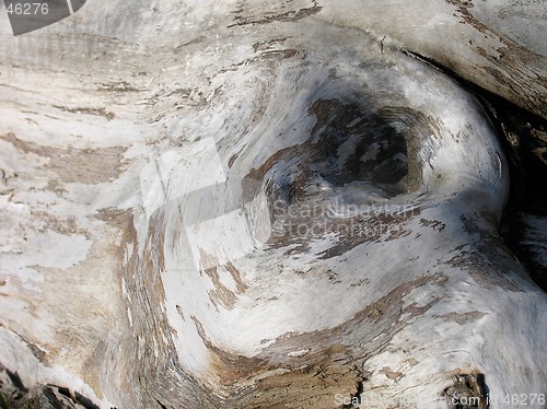 Image of Old Wood Texture