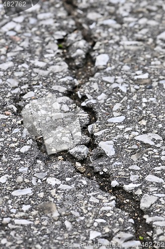 Image of Crack in asphalt