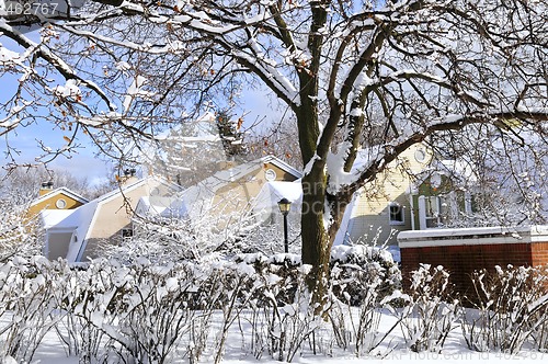 Image of Winter street