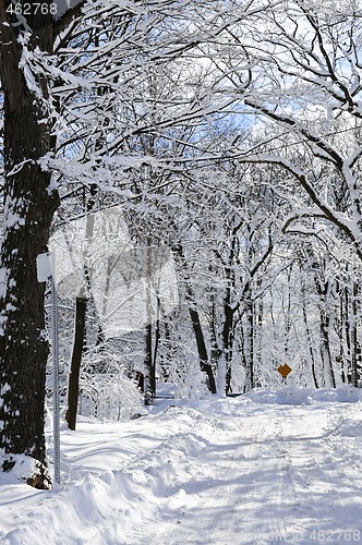 Image of Winter street