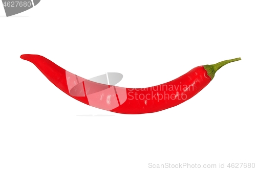 Image of Chili pepper on white