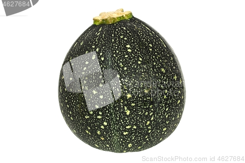 Image of Round zucchini on white