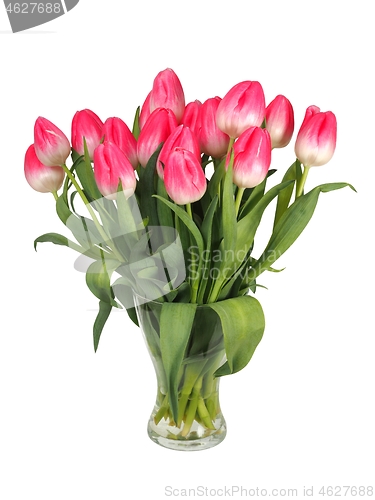 Image of Bunch of tulips