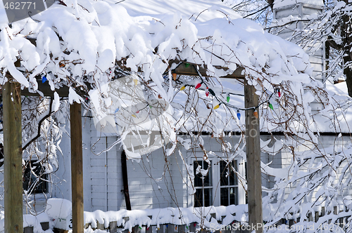 Image of Front yard of a house in winter