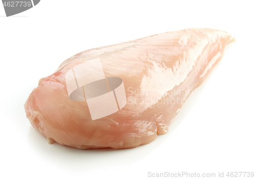 Image of fresh raw chicken fillet