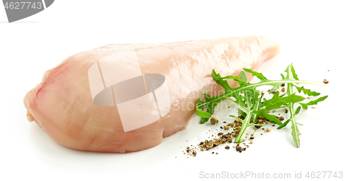 Image of fresh raw chicken meat