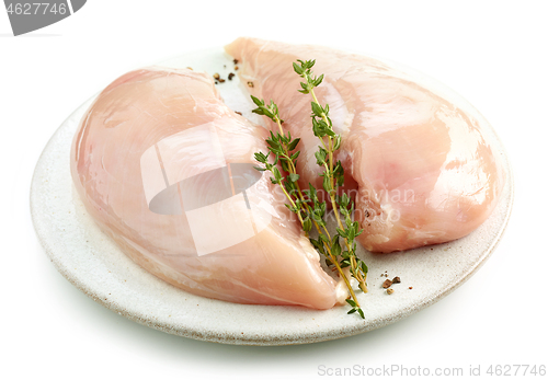 Image of fresh raw chicken meat